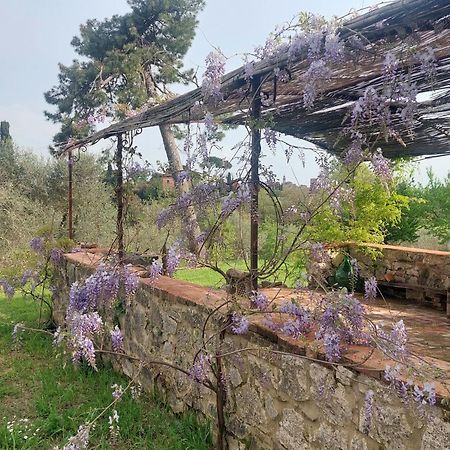 Casa Ezio Marchi - Due Appartamenti E Una Family Suite Bettolle Esterno foto
