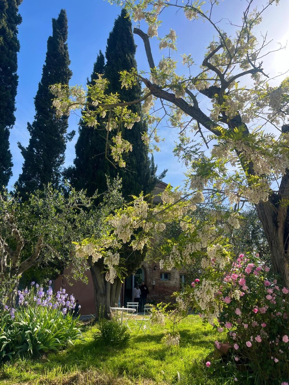Casa Ezio Marchi - Due Appartamenti E Una Family Suite Bettolle Esterno foto