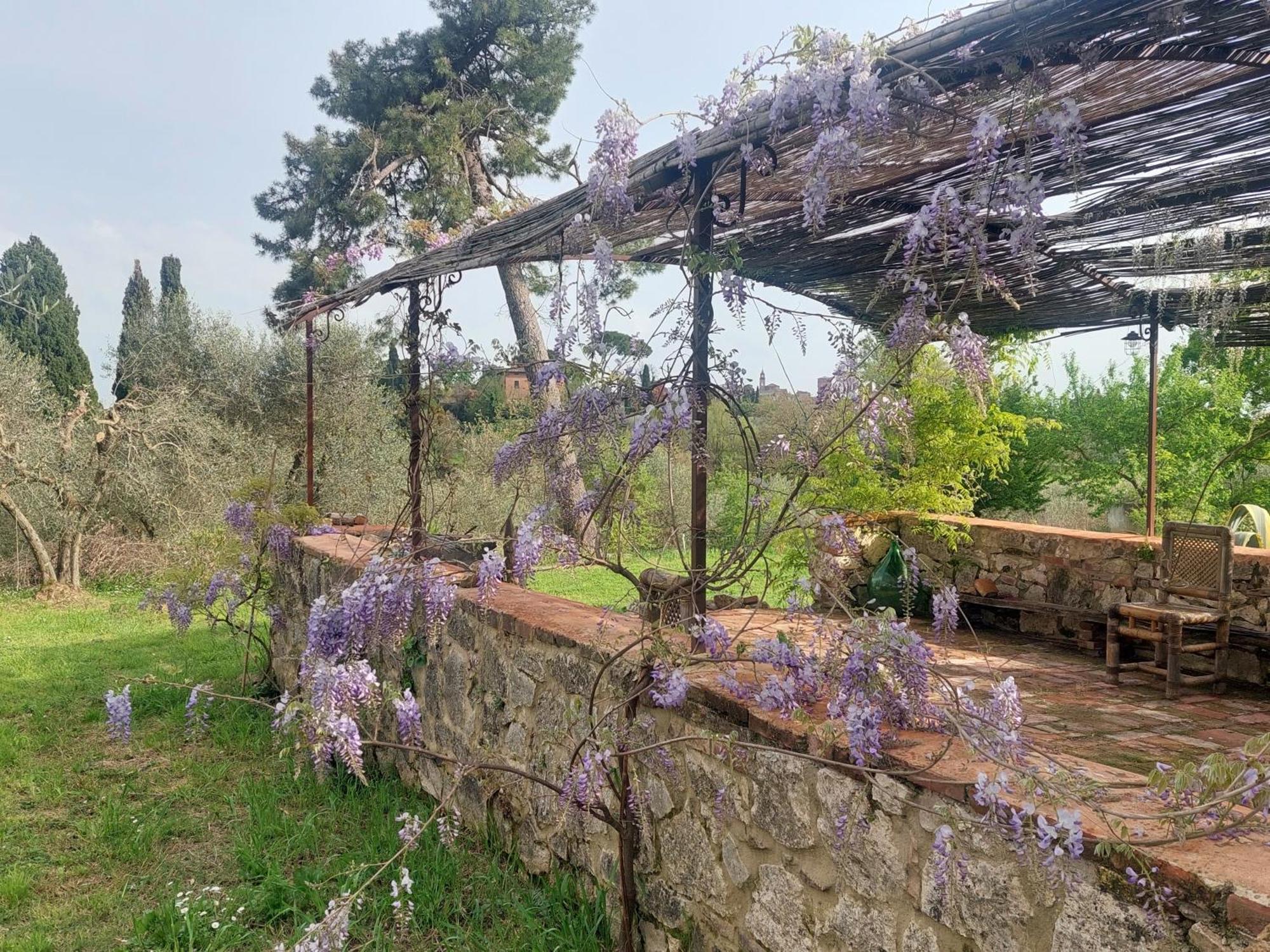 Casa Ezio Marchi - Due Appartamenti E Una Family Suite Bettolle Esterno foto
