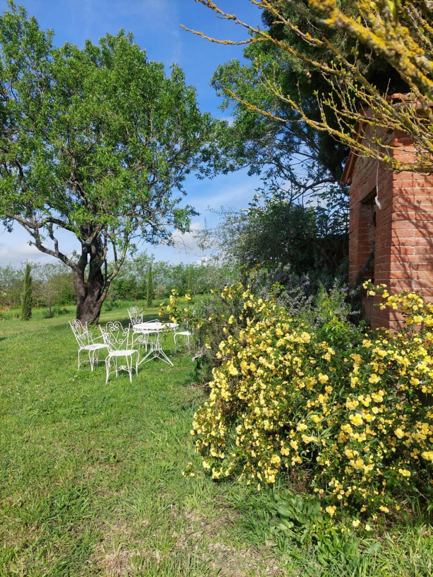 Casa Ezio Marchi - Due Appartamenti E Una Family Suite Bettolle Esterno foto