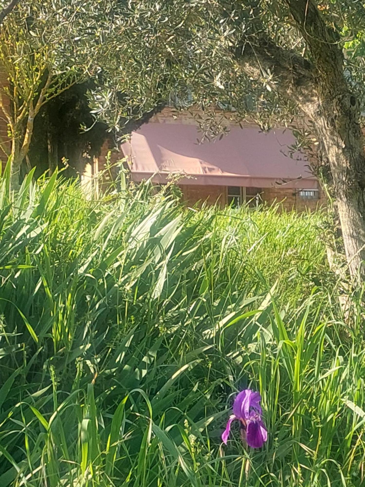 Casa Ezio Marchi - Due Appartamenti E Una Family Suite Bettolle Esterno foto