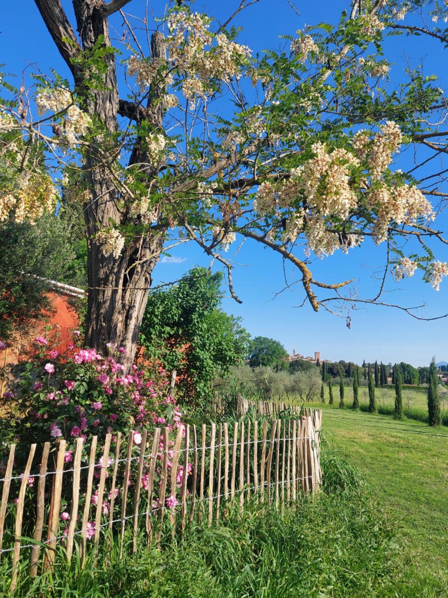 Casa Ezio Marchi - Due Appartamenti E Una Family Suite Bettolle Esterno foto